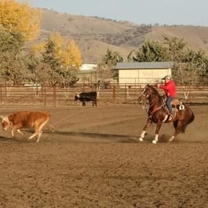 Meet your Posher, Brody